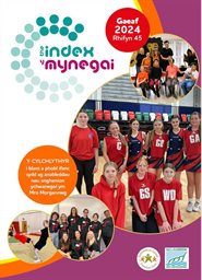 Index Newsletter 45 Welsh cover