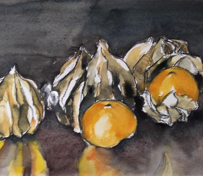 Still Life in Charcoal & Watercolour