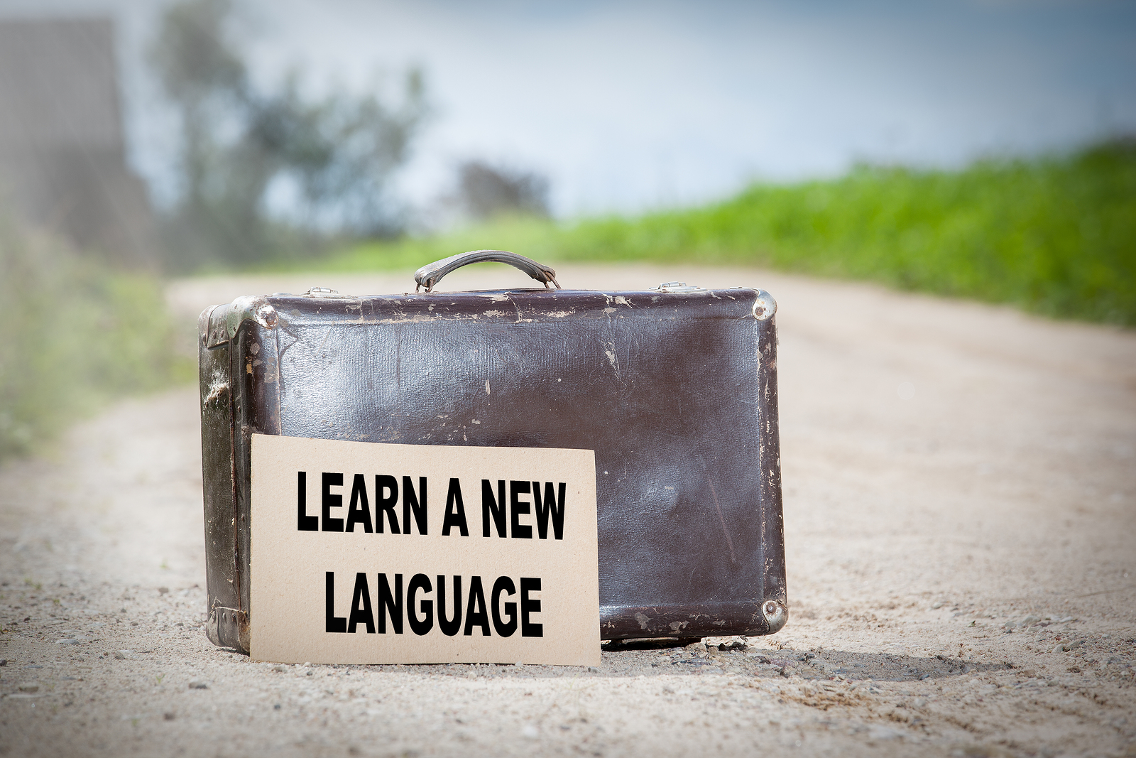 bigstock-Learn a new language-170517701