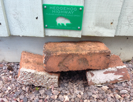 Hedgehog-highway-sign