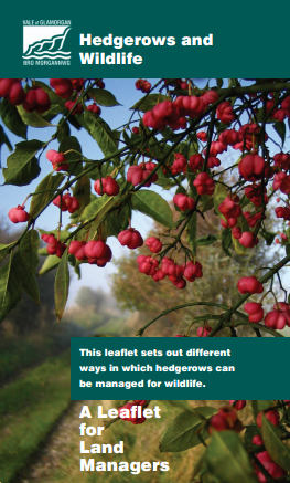 Hedgerows and wildlife leaflet