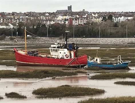 boats