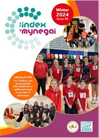 Index Newsletter 45 English cover