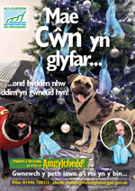 Dogs-are-Clever-Christmas-welsh