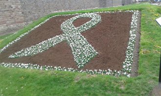 White ribbon