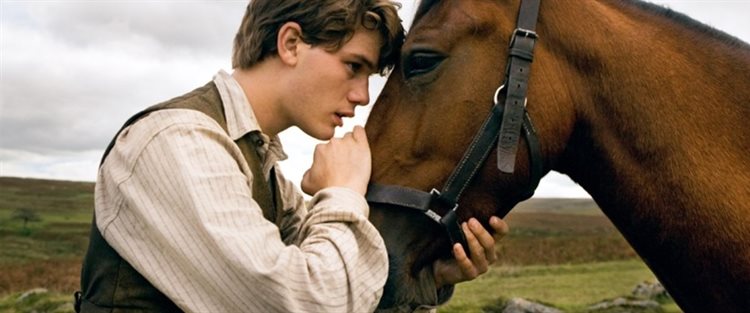 war horse