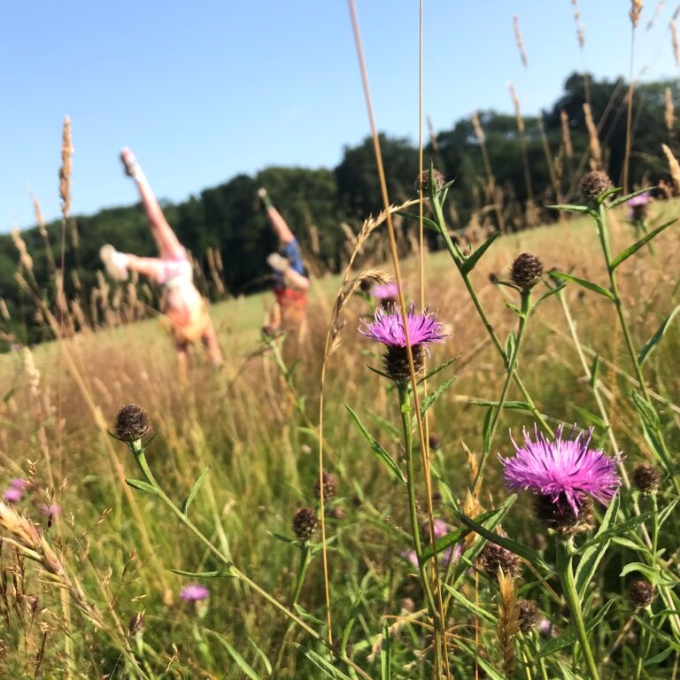 Wellbeing-and-People-Field-with-flowers