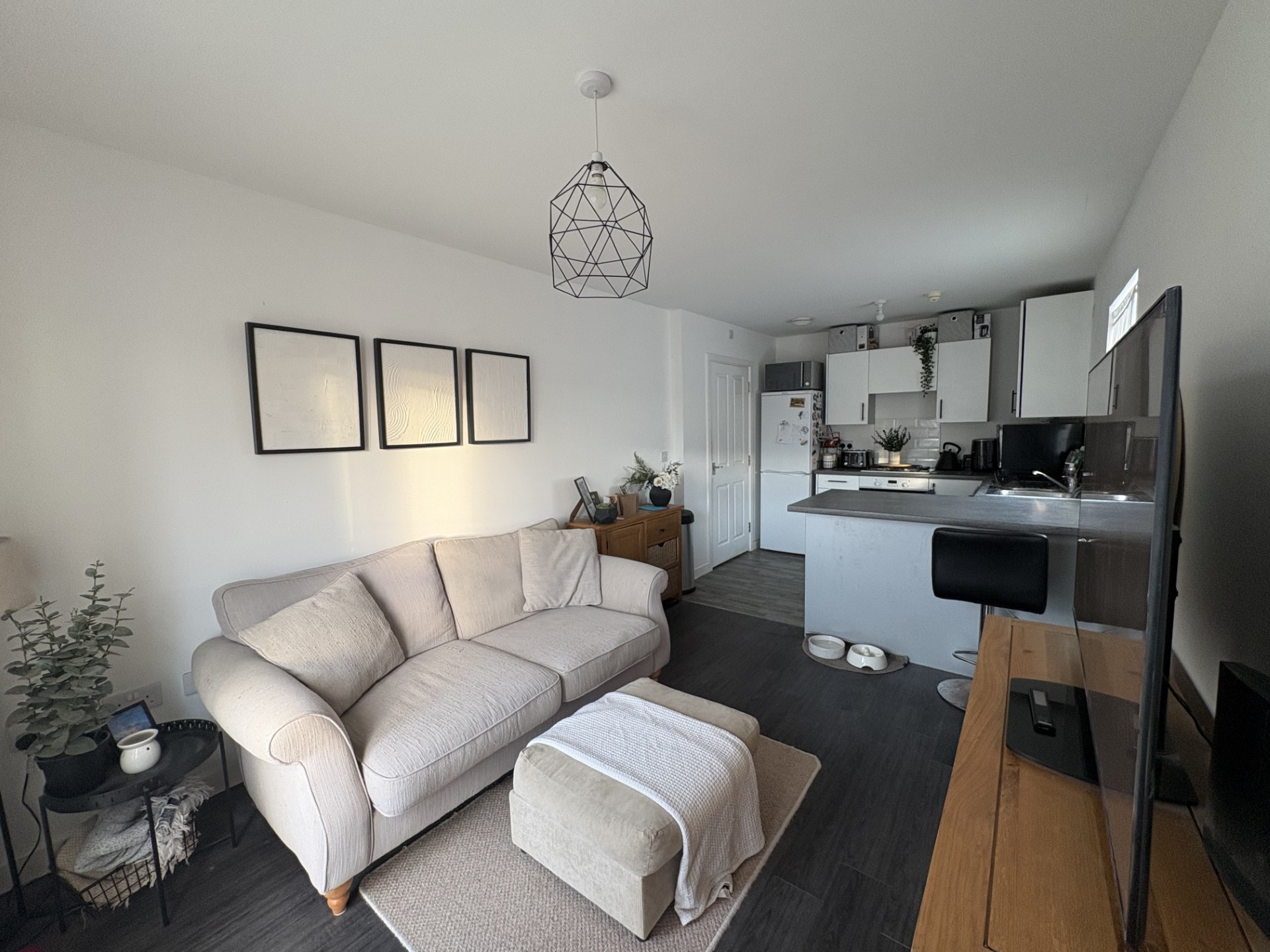 living room - kitchen (2)