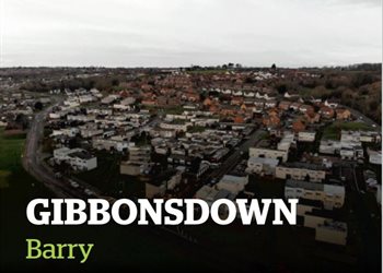 Barry Gibbonsdown