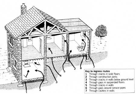Radon