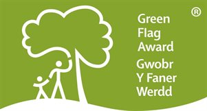 Green Flag Image