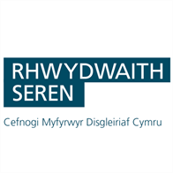 Logo Seren Network Welsh