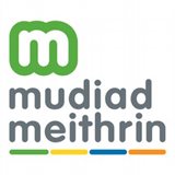 mudiad meithrin