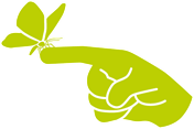 60 Environment Icon