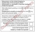 Ballot Paper Example (EU Ref)