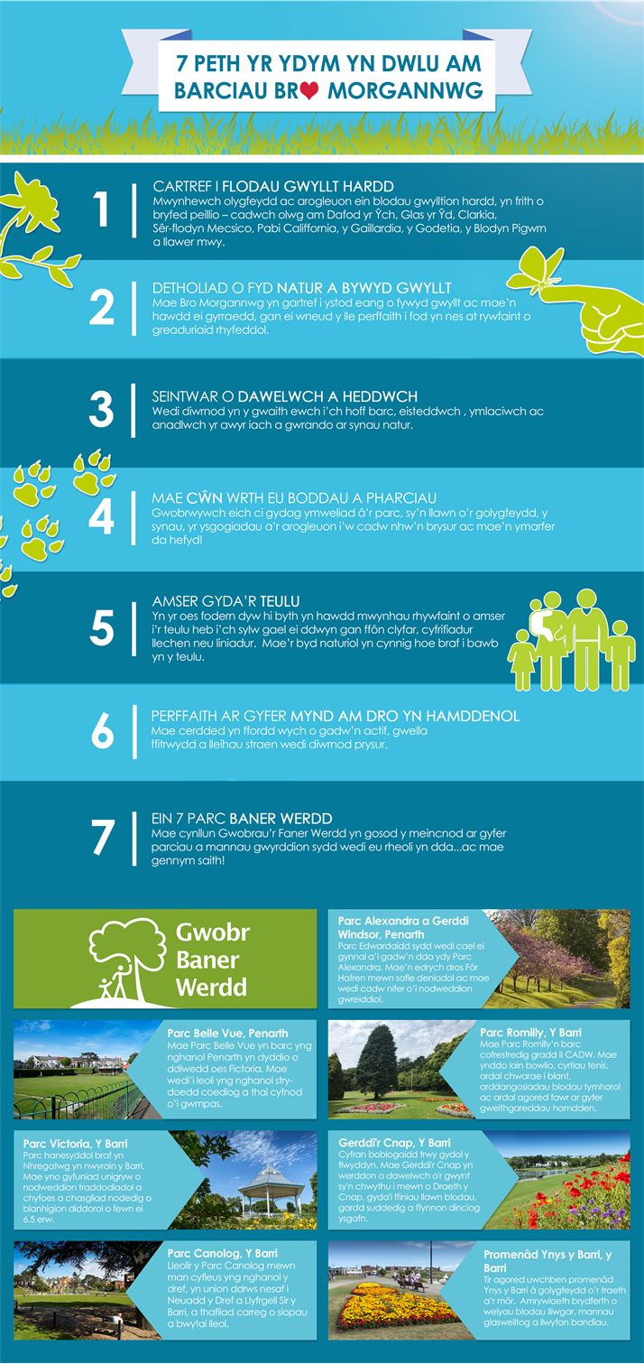 7 Things we love about Vale parks Welsh