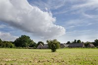 Cosmeston Medieval Village from field