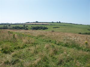 Dovecote field