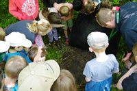 bug hunting at cosmeston