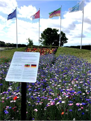 Wildflower Garden of Friendship Rheinfelden 012017