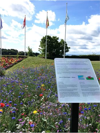 Wildflower Garden of Friendship VoG 012017