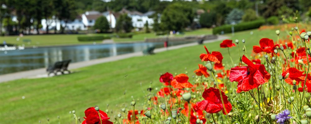 Knap Gardens