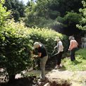 Nightingale back garden volunteers