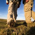 coast walking boots