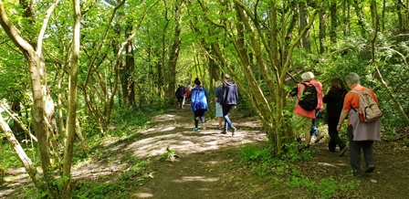 Walking Festival 2018 (17)