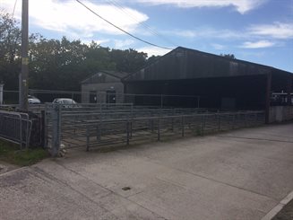 Cowbridge market
