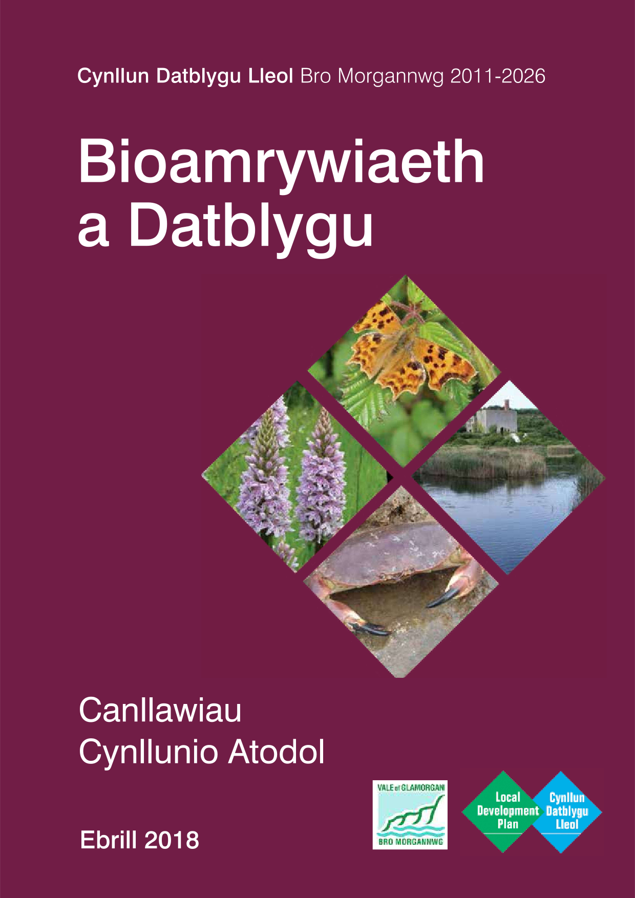 Welsh Biodiversity Front Cover