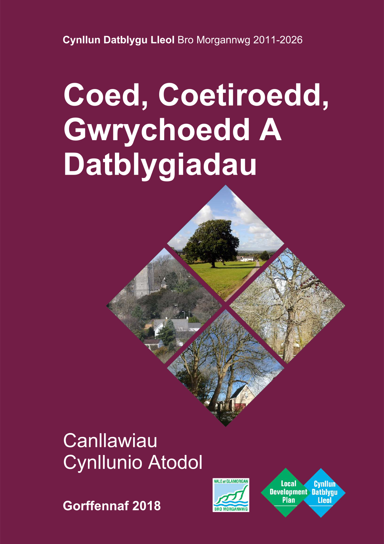 Welsh Trees and Woodlands Front Cover