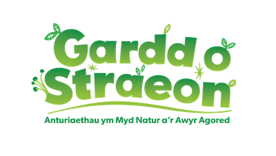 Welsh Story Garden Logo