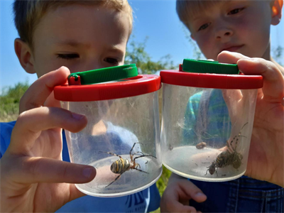 Restore The Thaw Schools