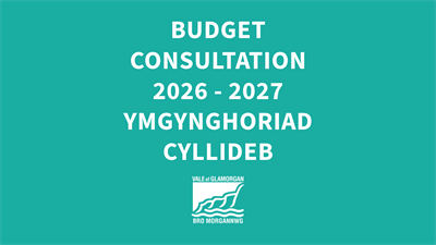 Budget Consultation Graphic