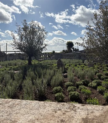 Nell's Point Landscaping