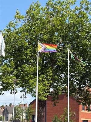 Pride Flag 02.06