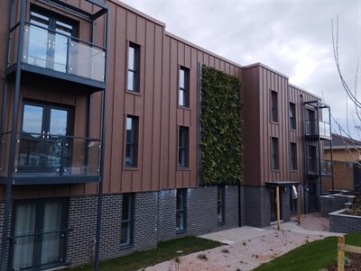 Sustainable Housing - Llys yr Eglwys