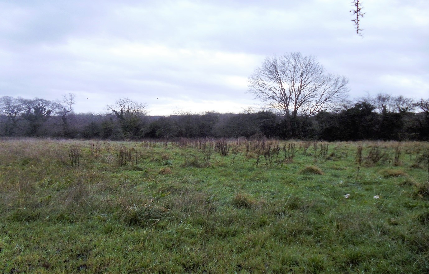 Properties for Sale or Let