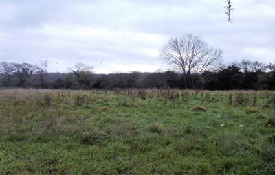 Opp Manor House, Sully picture 2026