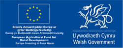 European Funding logo - no transparency