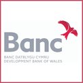 Development Bank of Wales logo
