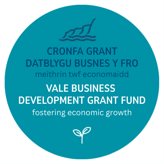 Vale Business Development Grant logo 2026