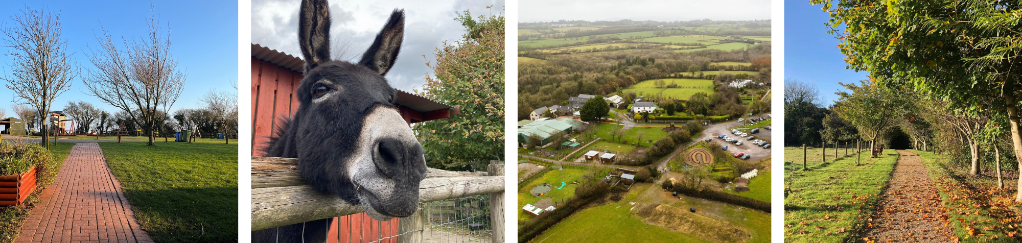 Amelia Trust Farm