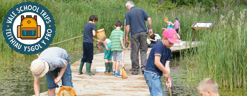 Pond-dipping-at-Cosmeston