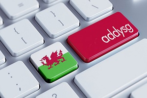 Welsh Medium Education Tile Image CY