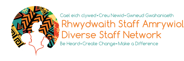 Diverse-Staff-Network