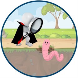 Cyber security - worm