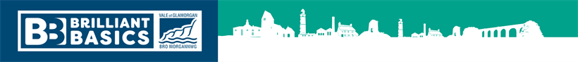 Brilliant Basics - Staffnet Banner (1)