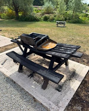 Bench Fire